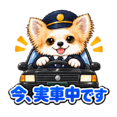 私のルリちゃんタクシードライバー編