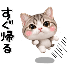 ず～っと使える♡かわいい猫の大切な人