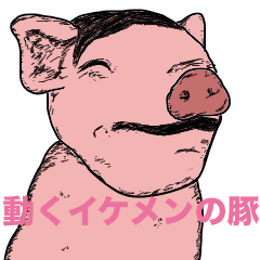 動くイケメンの豚〜