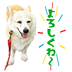 まったりほっこりルナライフ