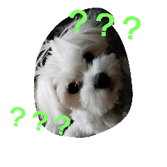 ちぃーこちゃん