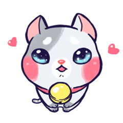 Fifty shades of grey cat