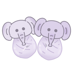 Proud & Parewa the twins elephant