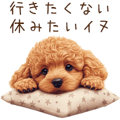 行きたくない！休みたいトイプードル