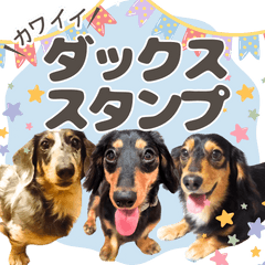 可愛い3ダックススタンプ