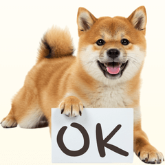 看板を持つ柴犬の伝えるスタンプ