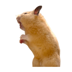 ナゲット君スタンプ第四段