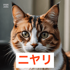 三毛猫の気まぐれスタンプ