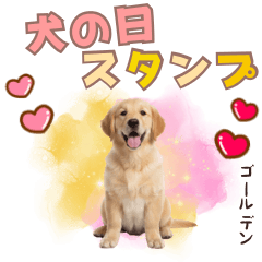 ゴールデン子犬の日常スタンプ