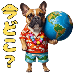 真面目で正直なフレンチブルドッグ