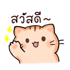 The cream-colored cat is cute.