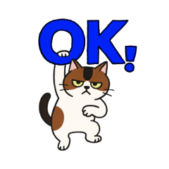 CasualRe for Friends and Family, EveryD