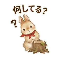 感情を伝える可愛いうさぎ♪