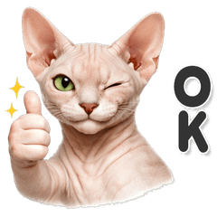 毎日使える！ スフィンクス 猫