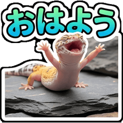 リアルレオパードゲッコーの友達