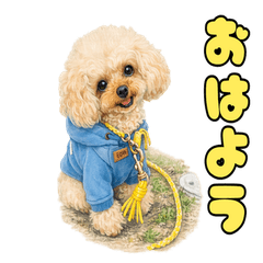 cocoのにこにこえがお日記♪