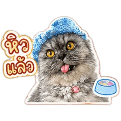 Bao Baoo kub