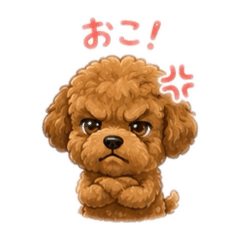 ライリーファクトリー