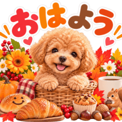 飛び出す♡秋のトイプー