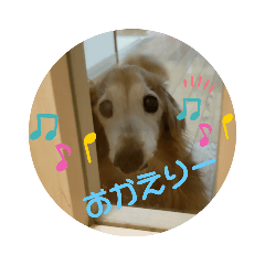 可愛い愛犬ぷりんのスタンプ