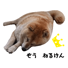 柴犬ダイヤ㊗10歳記念スタンプ岡山・津山弁