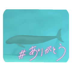 海・魚のスタンプ