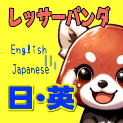 レッサーパンダ　毎日使用　日本語英語