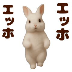 踊る！うさぎMAX/ウサギ/兎/ラビット