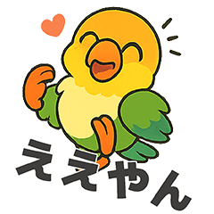 シロハラインコのちくわちゃん