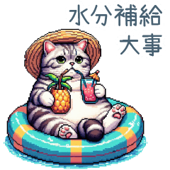 毎日使える夏のねこちゃん【連絡】