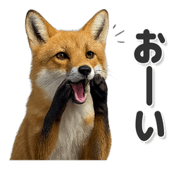 毎日使える！可愛いキツネ