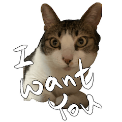 アウェイとビビの不思議な冒険