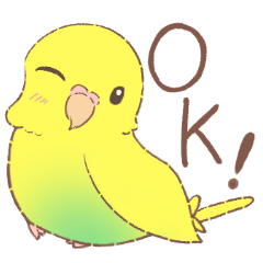 インコ・パリぴっちゃんの日常