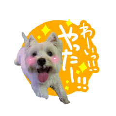 こったんスタンプ第２段