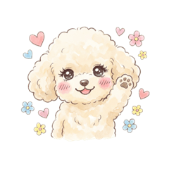 Every day of the toy poodle