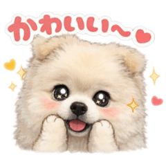 ポメラニアン★ゆきち★フルスタンプ