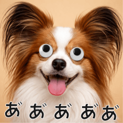 動くおめめ犬-パピヨン