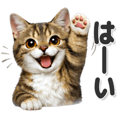 毎日使える！ マンチカン