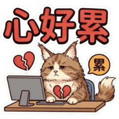 Maine Coon cat, I'm so tired.