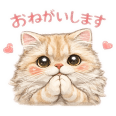 毎日使える！こたろー君