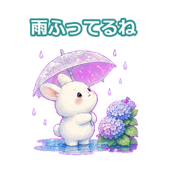 梅雨と夏のふわうさぎ