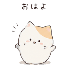 ころふわねこ