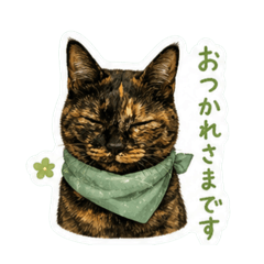 サビ猫あずきの敬語スタンプ