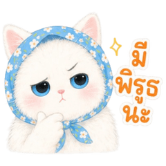 Cotton (White Cat)