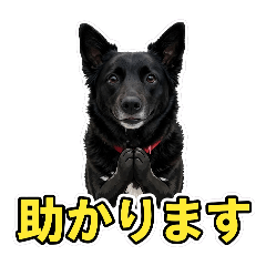 黒ワンちゃんの大人敬語スタンプ