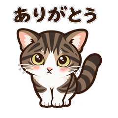 【デカ文字】キュルンなキジ白猫