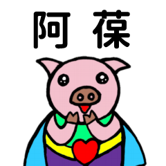 ShanShan Pig Name sticker No.3030