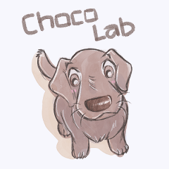 Choco Lab