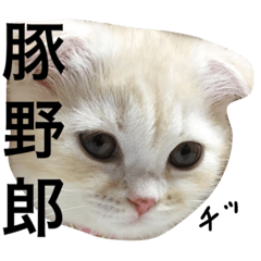 ぽぽちゃんスタンプ