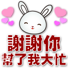 Cute White Rabbit-Practical  greetings